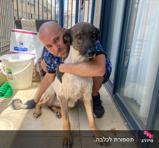 אדם מחבק כלב לאחר תספורת על מרפסת